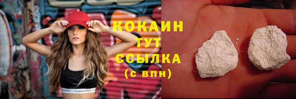 прущая мука Пересвет