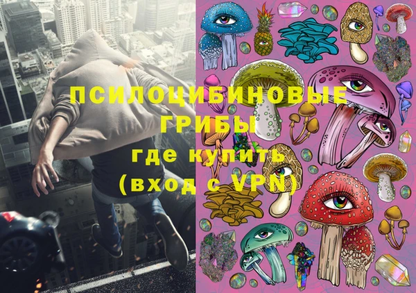 соль ск Пестово